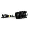 BRAT ARC PNEUMATIC ARNOTT AS-3896 - Compatibil cu MERCEDES-BENZ
