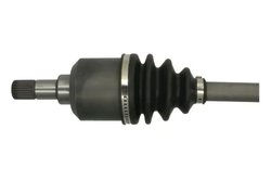 Planetara Pascal G2C013PC