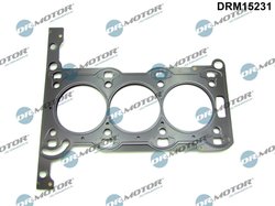 Garnitura chiuloasa Dr.Motor Automotive DRM15231