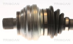 Planetara Triscan 8540 295062