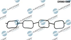 Garnitura galerie admisie Dr.Motor Automotive DRM01909