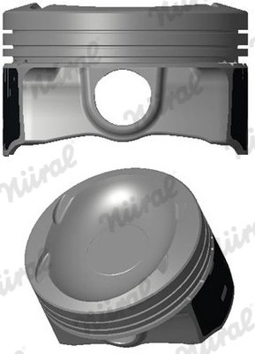 Piston Nural 87-442900-00