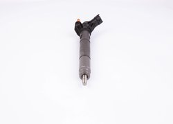 Injector BOSCH 0 445 116 059
