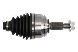 Planetara Pascal G2R155PC