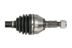 Planetara Pascal G2X054PC