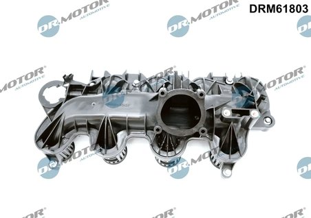 MODUL CONDUCTA ADMISIE DR.MOTOR AUTOMOTIVE DRM61803 - Compatibil cu CITROEN, FIAT, FORD, JAGUAR, LANCIA, LAND ROVER, MITSUBISHI,