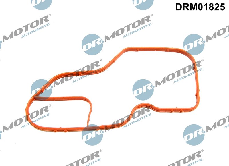 Garnitura, carcasa termostat Dr.Motor Automotive DRM01825