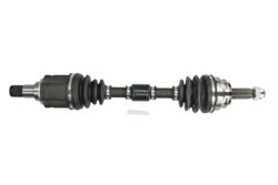 Planetara Pascal G25004PC