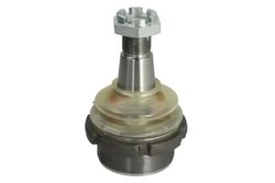 Pivot REINHOCH RH54-9002