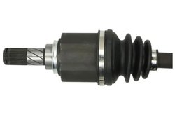 Planetara Pascal G21014PC