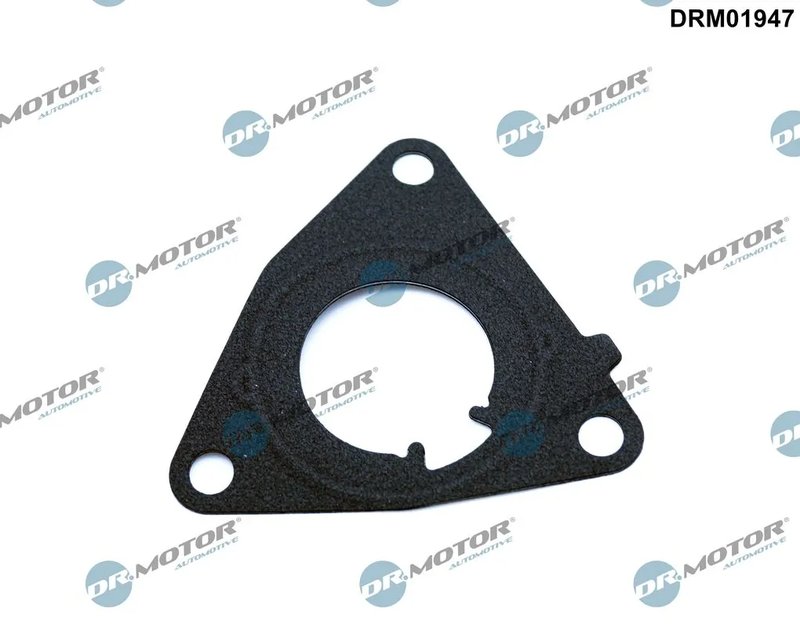 Garnitura, pompa vacuum Dr.Motor Automotive DRM01947