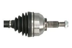 Planetara Pascal G2R186PC