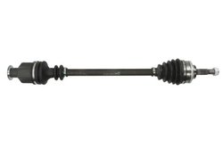 Planetara Pascal G2R048PC
