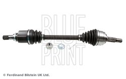 Planetara Blue Print ADBP890023