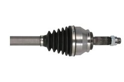 Planetara Pascal G2C149PC