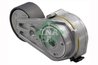 Intinzator curea distributie INA 534 0087 20