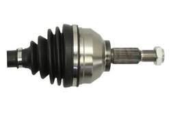 Planetara Pascal G2X020PC