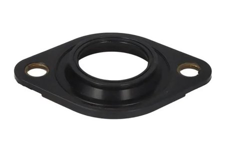 Inel etansare, injector ENGITECH ENT250389/1