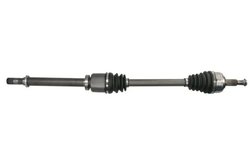 Planetara Pascal G2R108PC