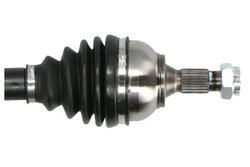 Planetara Pascal G2C115PC