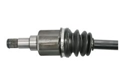 Planetara Pascal G2G043PC