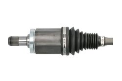 Planetara Pascal G2B019PC