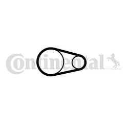 Curea distributie CONTINENTAL CT2001