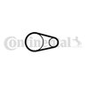 Curea distributie CONTINENTAL CT2001