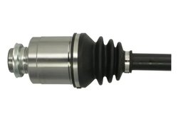 Planetara Pascal G24012PC