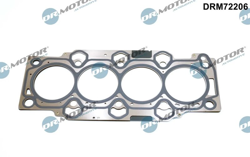 Garnitura chiuloasa Dr.Motor Automotive DRM72206