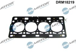 Garnitura chiuloasa Dr.Motor Automotive DRM18219