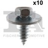 Surub FA1 14-70002.10