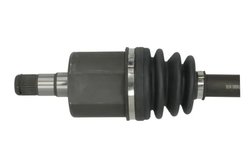 Planetara Pascal G2V049PC