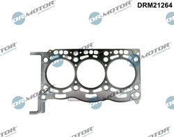 Garnitura chiuloasa Dr.Motor Automotive DRM21264