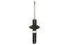 Amortizor Magnum Technology AGA060