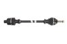 Planetara Lauber 88.0600