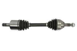 PLANETARA PASCAL G21031PC - Compatibil cu NISSAN, RENAULT
