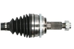 Planetara Pascal G20015PC