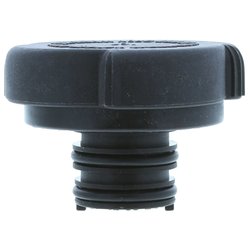 Buson vas expansiune Motorad T43
