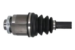 Planetara Pascal G20021PC