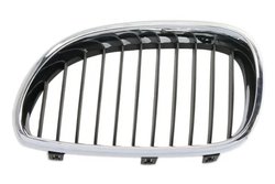 Grila radiator BLIC 6502-07-0066999P