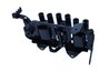 Bobina de inductie Maxgear 13-0338