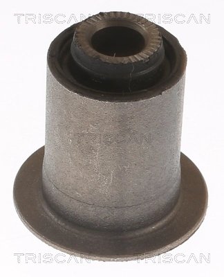 Bucsa suspensie Triscan 8500 13883