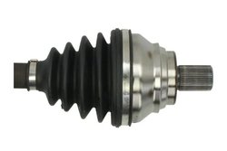 Planetara Pascal G2A011PC