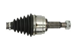 Planetara Pascal G21037PC