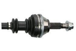 Planetara Pascal G2C018PC