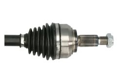Planetara Pascal G2R143PC