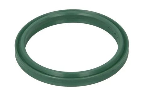 INEL ETANSARE, FURTUN AER SUPRAALIMENTARE THERMOTEC DCR280TT - Compatibil cu RENAULT