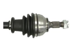 Planetara Pascal G2C143PC