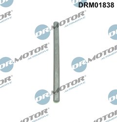 Arbore antrenare, Pompa ulei Dr.Motor Automotive DRM01838